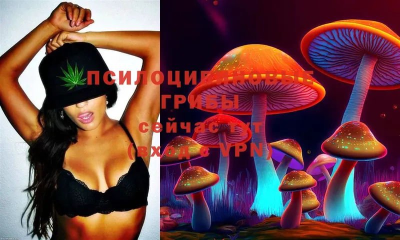 Псилоцибиновые грибы MAGIC MUSHROOMS  Кинель 